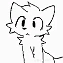 firfox351